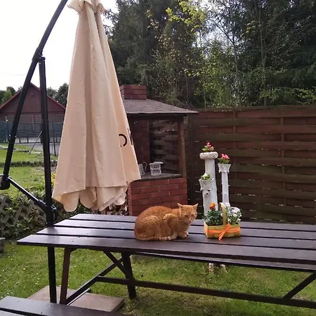 Nad Szumiacym Potokiem Wilkowice (Bielsko)