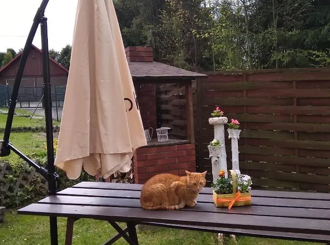 Nad Szumiacym Potokiem Wilkowice (Bielsko)