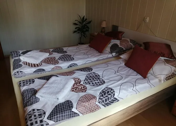 Nad Szumiacym Potokiem דירה *